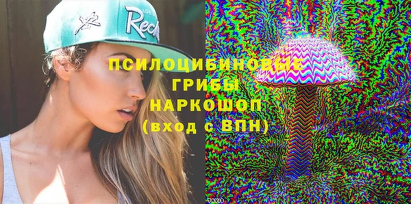 PSILOCYBIN Мегион