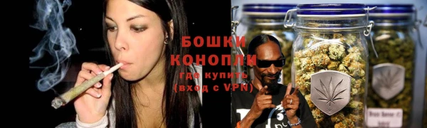 spice Медногорск