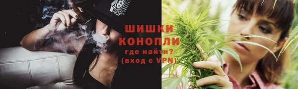 PSILOCYBIN Мегион