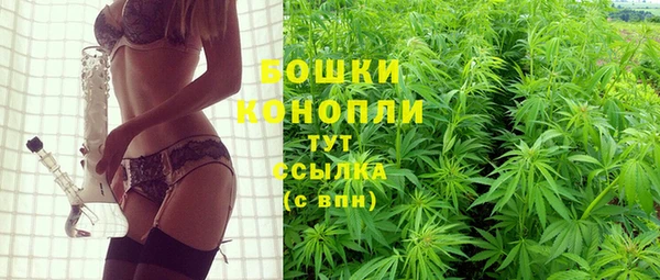 PSILOCYBIN Мегион