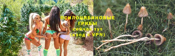 PSILOCYBIN Мегион