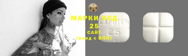 spice Медногорск