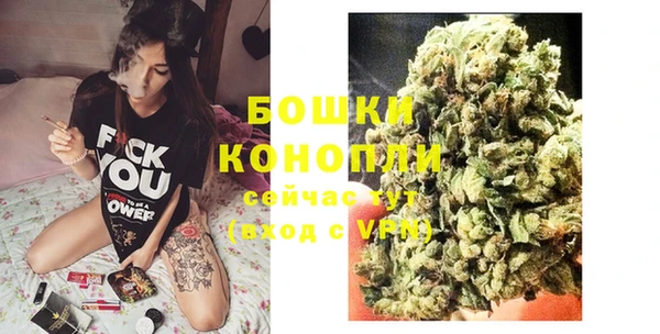 PSILOCYBIN Мегион