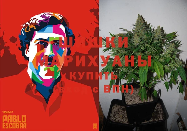 spice Медногорск