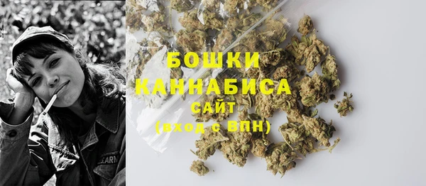 PSILOCYBIN Мегион