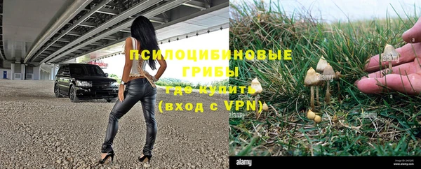 PSILOCYBIN Мегион